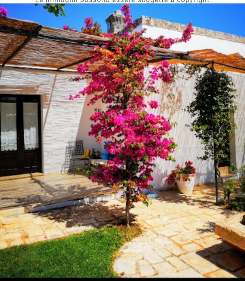 Room In Bb - Stunning Quadruple Room In Ancient Masseria Near The Sea In A Quiet Olive Trees Ostuni Exteriör bild