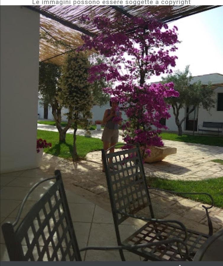 Room In Bb - Stunning Quadruple Room In Ancient Masseria Near The Sea In A Quiet Olive Trees Ostuni Exteriör bild