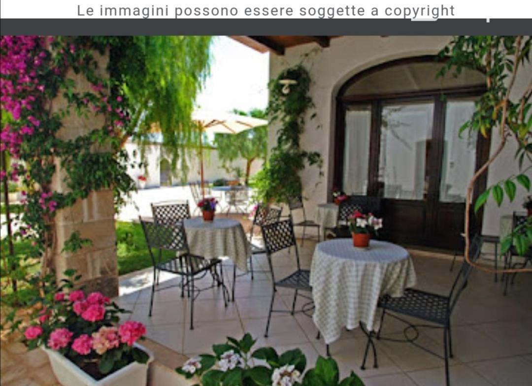Room In Bb - Stunning Quadruple Room In Ancient Masseria Near The Sea In A Quiet Olive Trees Ostuni Exteriör bild