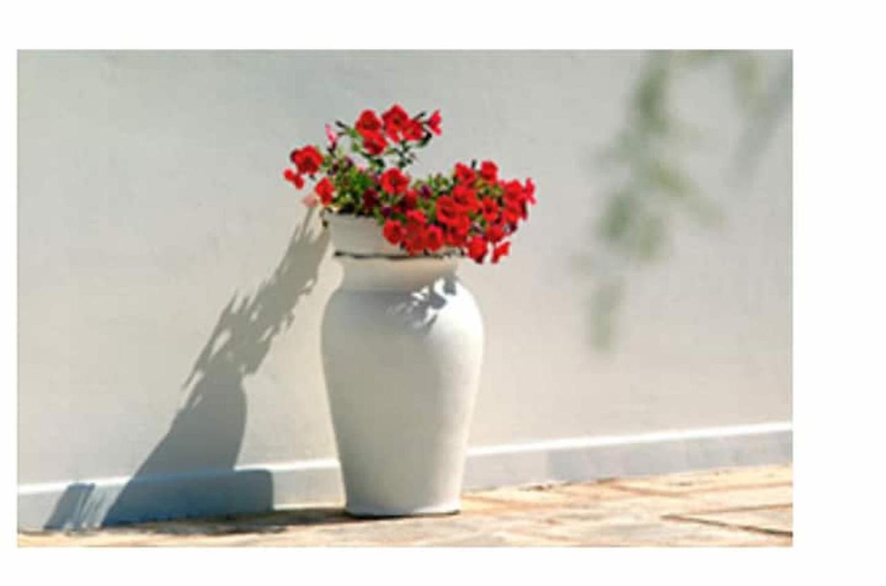 Room In Bb - Stunning Quadruple Room In Ancient Masseria Near The Sea In A Quiet Olive Trees Ostuni Exteriör bild