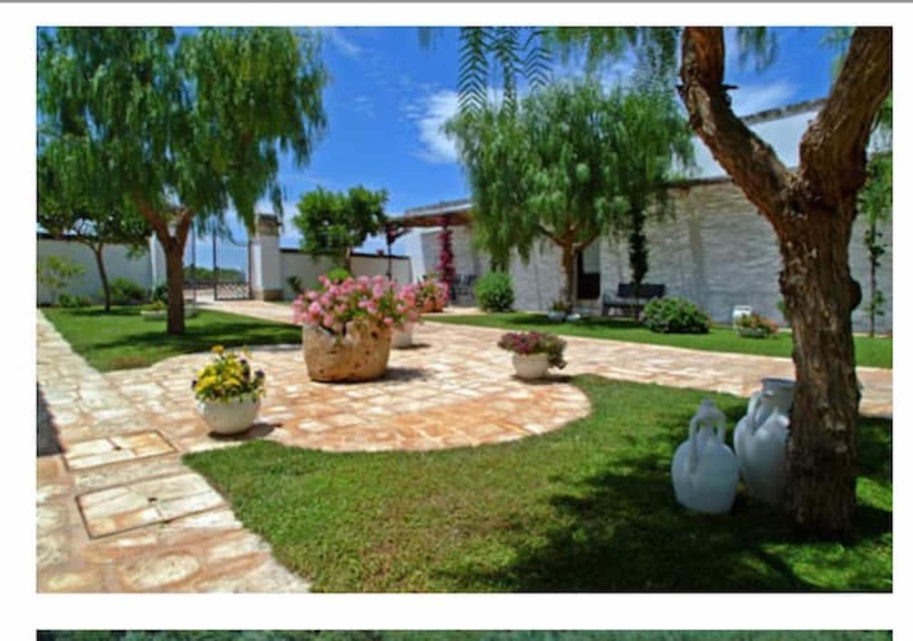 Room In Bb - Stunning Quadruple Room In Ancient Masseria Near The Sea In A Quiet Olive Trees Ostuni Exteriör bild