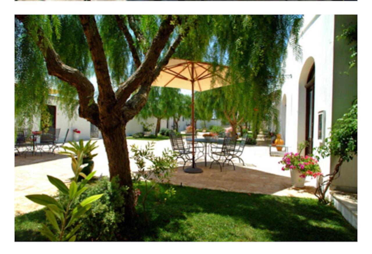 Room In Bb - Stunning Quadruple Room In Ancient Masseria Near The Sea In A Quiet Olive Trees Ostuni Exteriör bild